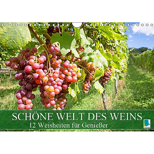 Schöne Welt des Weins: 12 Weisheiten für Genießer (Wandkalender 2019 DIN A4 quer), CALVENDO