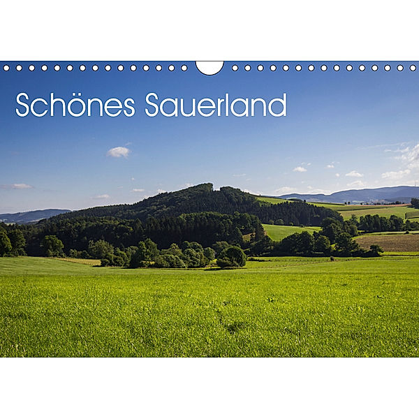 Schönes Sauerland (Wandkalender 2019 DIN A4 quer), Simone Rein