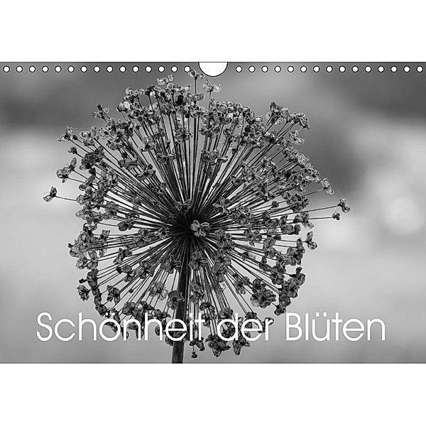 Schönheit der Blüten (Wandkalender 2017 DIN A4 quer), Martina Busch