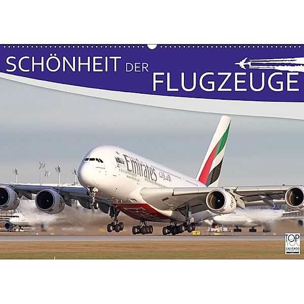 Schönheit der Flugzeuge (Wandkalender 2018 DIN A2 quer), Daniel Philipp