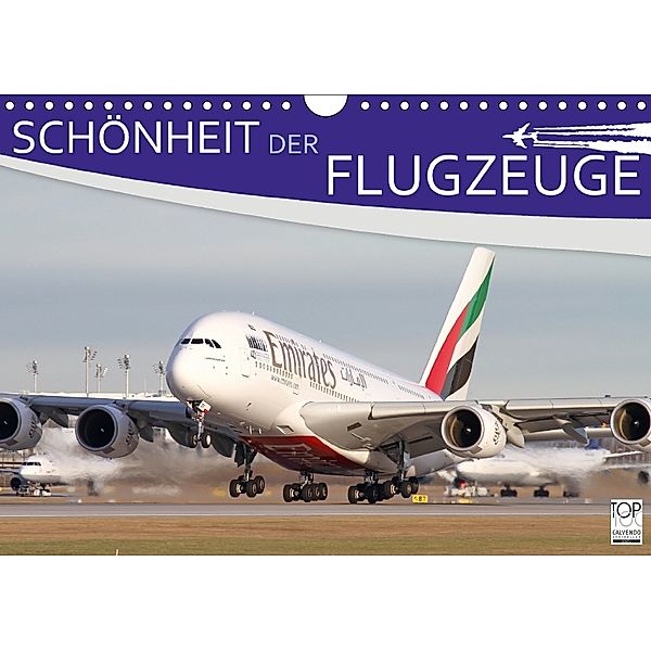 Schönheit der Flugzeuge (Wandkalender 2018 DIN A4 quer), Daniel Philipp