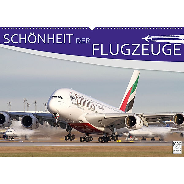 Schönheit der Flugzeuge (Wandkalender 2019 DIN A2 quer), Daniel Philipp