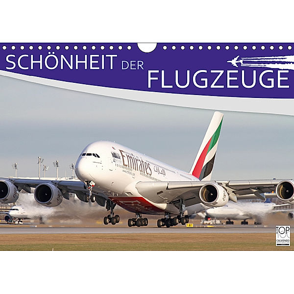 Schönheit der Flugzeuge (Wandkalender 2019 DIN A4 quer), Daniel Philipp