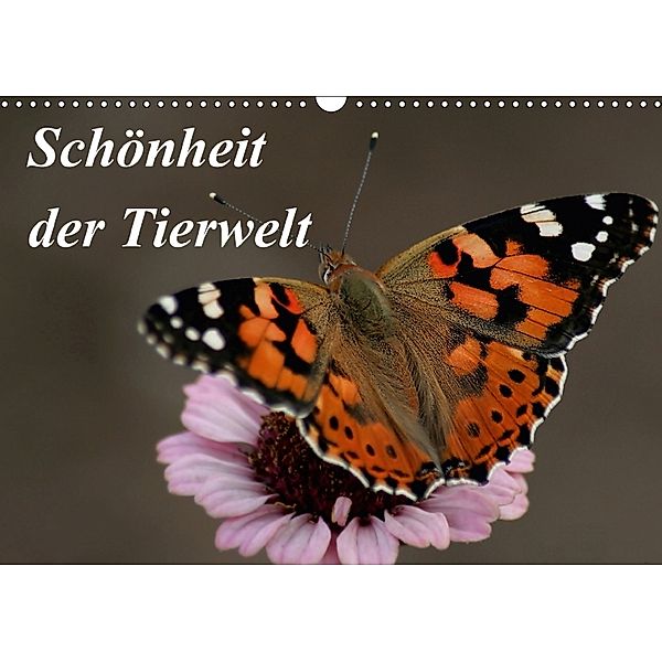 Schönheit der Tierwelt (Wandkalender 2018 DIN A3 quer), Sandra Probstfeld