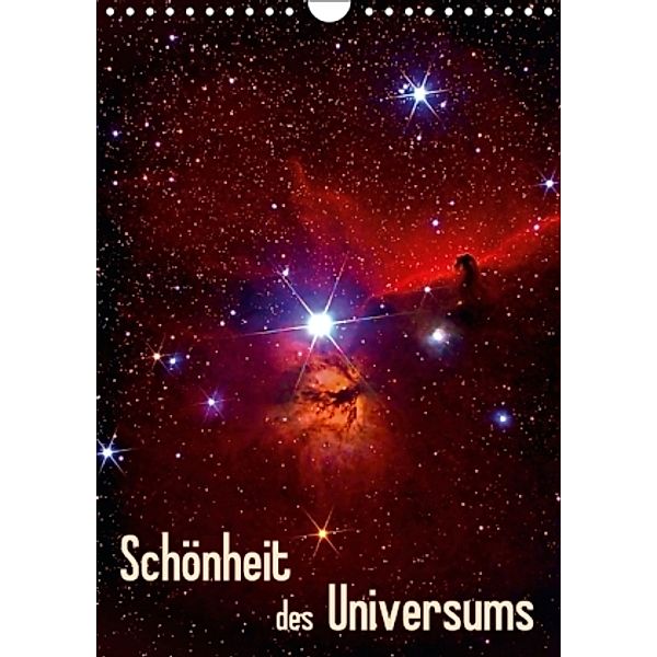 Schönheit des Universums (Wandkalender 2016 DIN A4 hoch), MonarchC