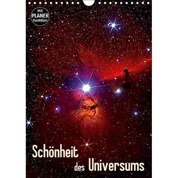 Schönheit des Universums (Wandkalender 2017 DIN A4 hoch), MonarchC