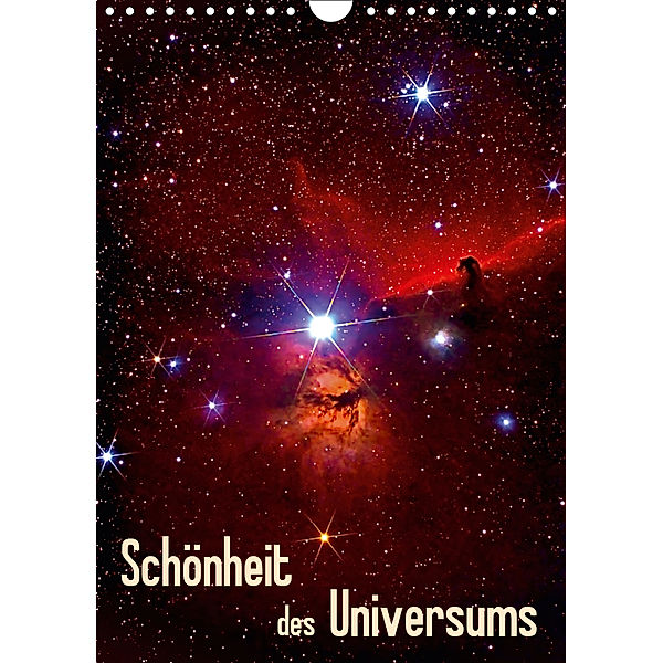 Schönheit des Universums (Wandkalender 2019 DIN A4 hoch), MonarchC