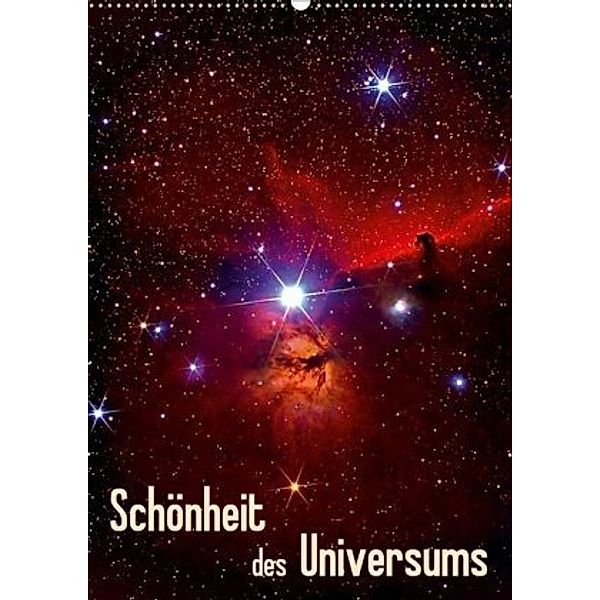 Schönheit des Universums (Wandkalender 2020 DIN A2 hoch)