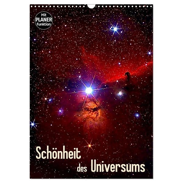 Schönheit des Universums (Wandkalender 2024 DIN A3 hoch), CALVENDO Monatskalender, MonarchC
