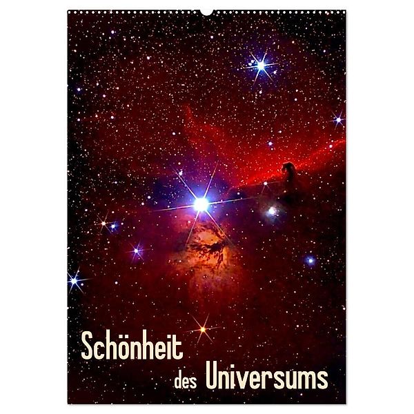 Schönheit des Universums (Wandkalender 2025 DIN A2 hoch), CALVENDO Monatskalender, Calvendo, MonarchC