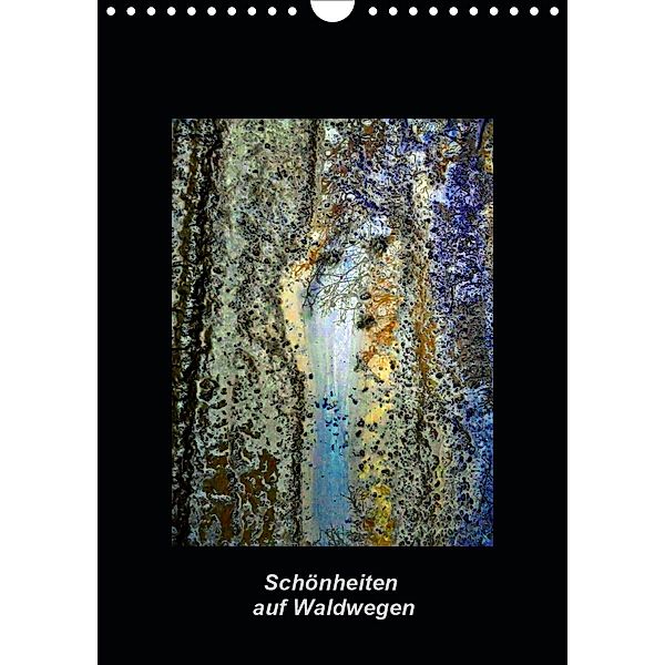 Schönheiten auf WaldwegenAT-Version (Wandkalender 2021 DIN A4 hoch), Ulrike Frimpong