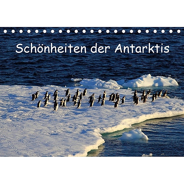 Schönheiten der Antarktis (Tischkalender 2020 DIN A5 quer), Ute Löffler