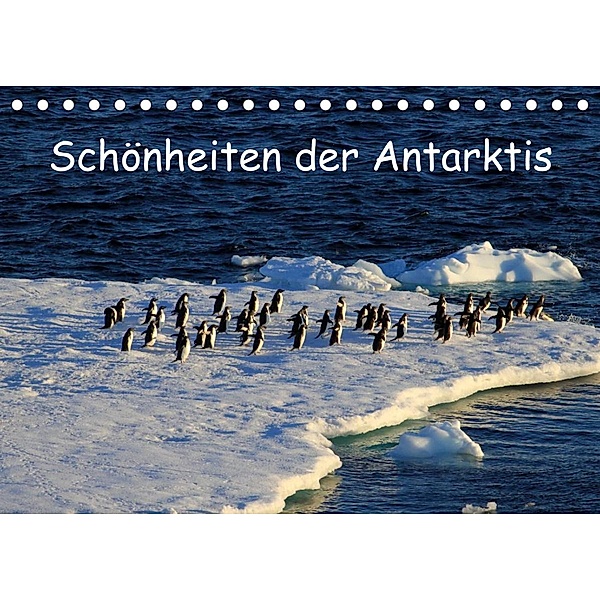 Schönheiten der Antarktis (Tischkalender 2023 DIN A5 quer), Ute Löffler