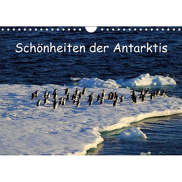 Schönheiten der Antarktis (Wandkalender 2018 DIN A4 quer), Ute Löffler