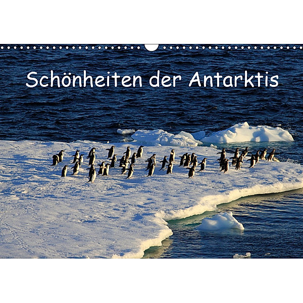 Schönheiten der Antarktis (Wandkalender 2019 DIN A3 quer), Ute Löffler