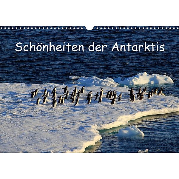 Schönheiten der Antarktis (Wandkalender 2020 DIN A3 quer), Ute Löffler