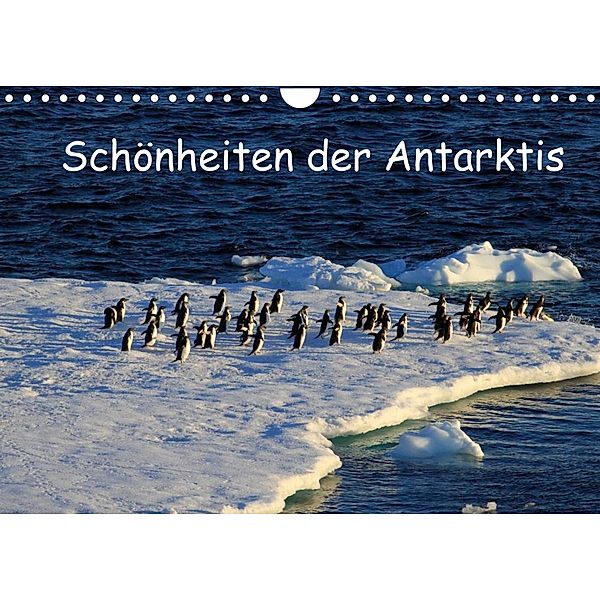 Schönheiten der Antarktis (Wandkalender 2022 DIN A4 quer), Ute Löffler