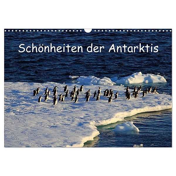 Schönheiten der Antarktis (Wandkalender 2024 DIN A3 quer), CALVENDO Monatskalender, Ute Löffler