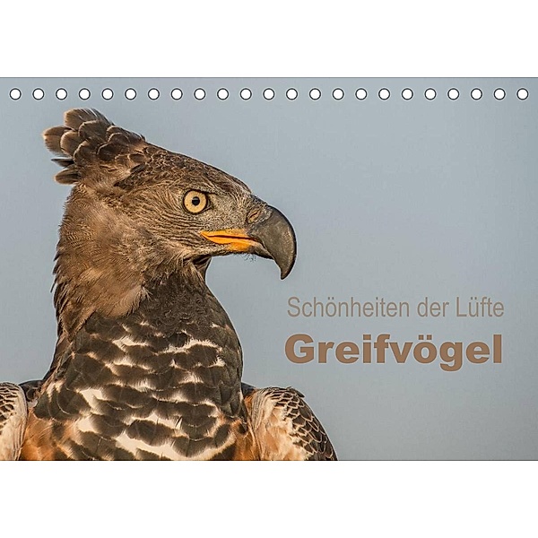 Schönheiten der Lüfte - Greifvögel (Tischkalender 2023 DIN A5 quer), Tanja Brandt