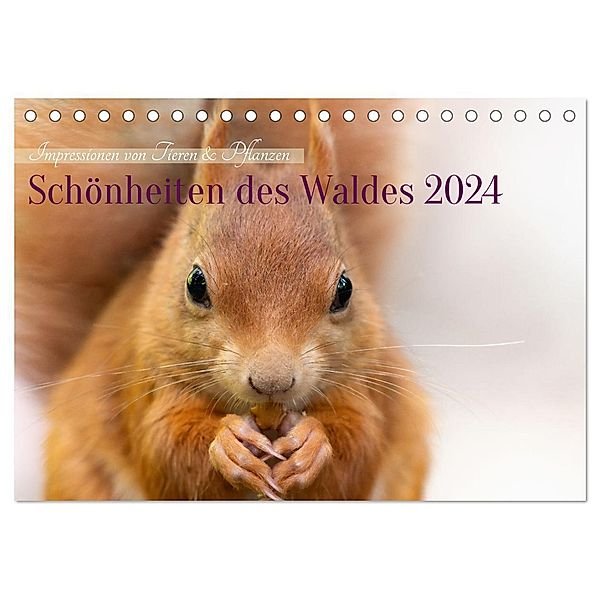 Schönheiten des Waldes (Tischkalender 2024 DIN A5 quer), CALVENDO Monatskalender, Manuela Hartmann