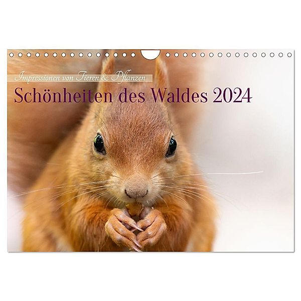 Schönheiten des Waldes (Wandkalender 2024 DIN A4 quer), CALVENDO Monatskalender, Manuela Hartmann