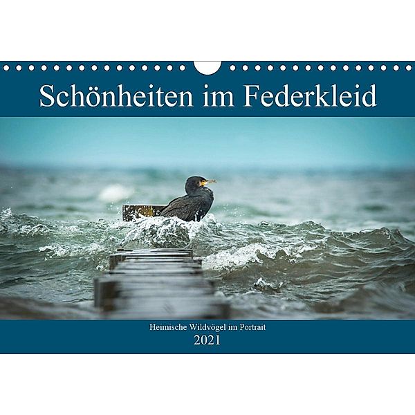 Schönheiten im Federkleid - Heimische Wildvögel im Portrait (Wandkalender 2021 DIN A4 quer), Sabine Grahneis