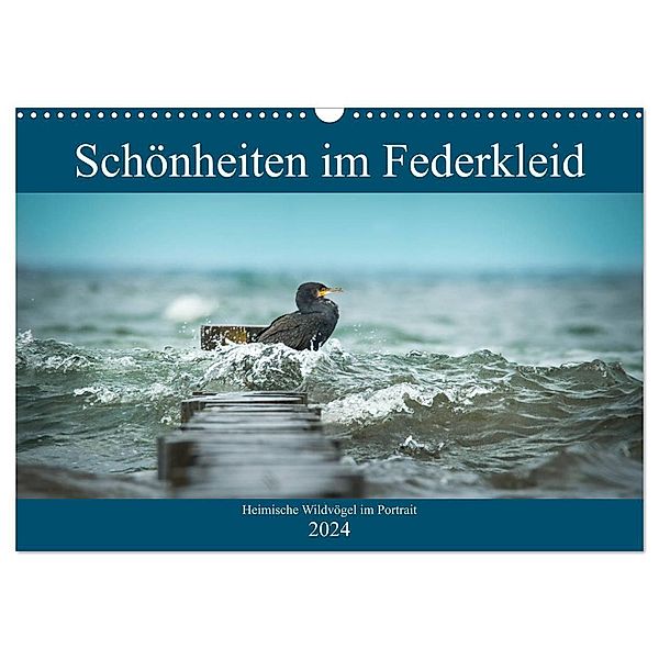 Schönheiten im Federkleid - Heimische Wildvögel im Portrait (Wandkalender 2024 DIN A3 quer), CALVENDO Monatskalender, Sabine Grahneis