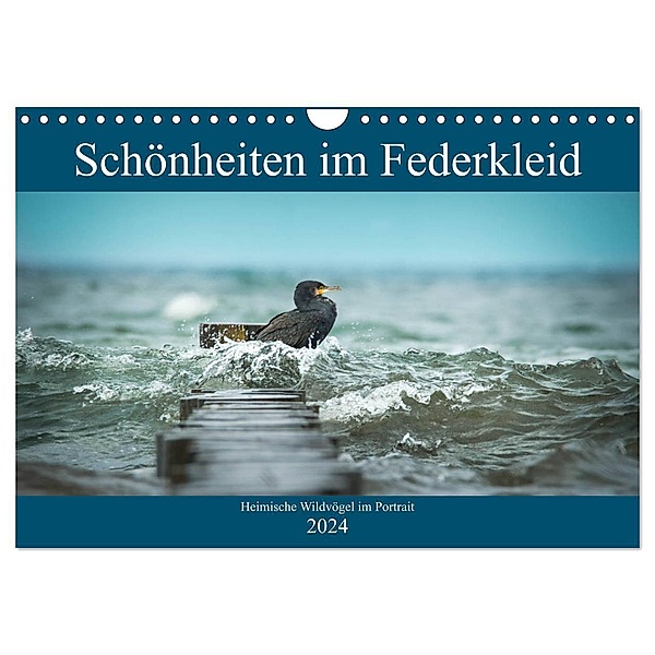 Schönheiten im Federkleid - Heimische Wildvögel im Portrait (Wandkalender 2024 DIN A4 quer), CALVENDO Monatskalender, Sabine Grahneis