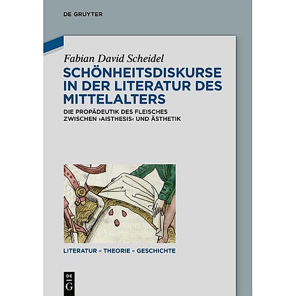 Schönheitsdiskurse in der Literatur des Mittelalters / Literatur - Theorie - Geschichte Bd.23, Fabian David Scheidel