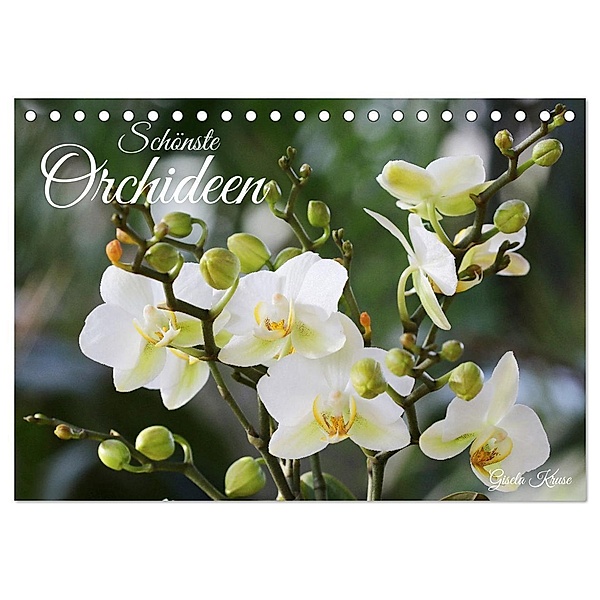 Schönste Orchideen (Tischkalender 2024 DIN A5 quer), CALVENDO Monatskalender, Gisela Kruse