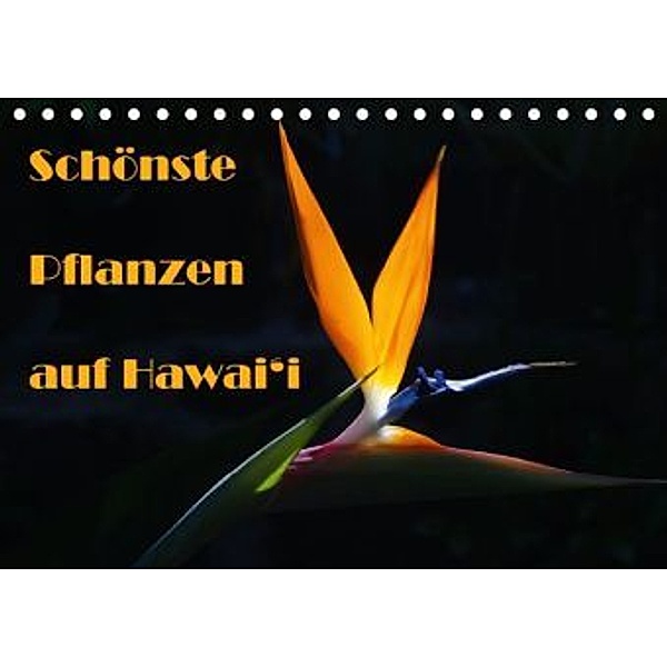 Schönste Pflanzen auf Hawai'i (Tischkalender 2016 DIN A5 quer), Rudolf Friederich