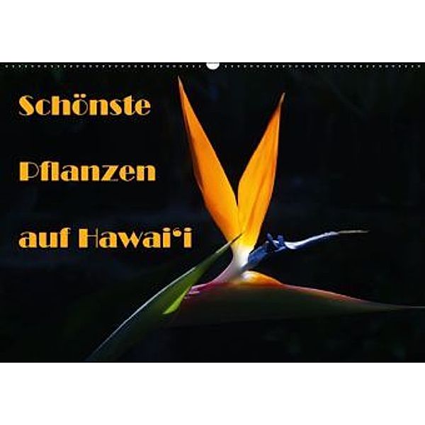 Schönste Pflanzen auf Hawai'i (Wandkalender 2016 DIN A2 quer), Rudolf Friederich