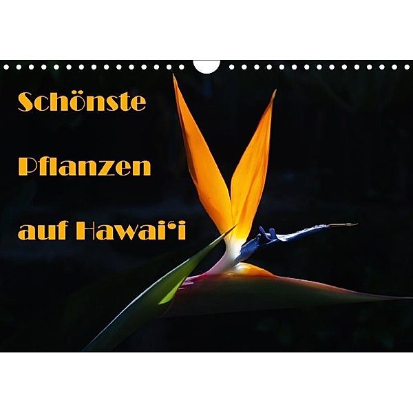 Schönste Pflanzen auf Hawai'i (Wandkalender 2017 DIN A4 quer), Rudolf Friederich