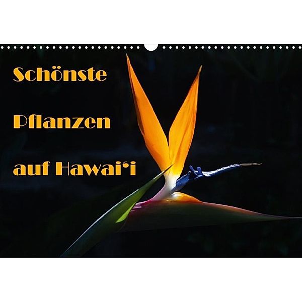 Schönste Pflanzen auf Hawai'i (Wandkalender 2017 DIN A3 quer), Rudolf Friederich