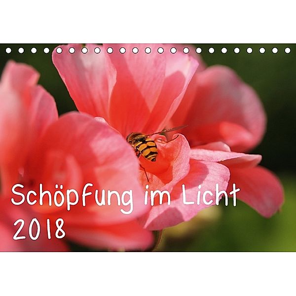 Schöpfung im Licht (Tischkalender 2018 DIN A5 quer), Katrin Hildebrand