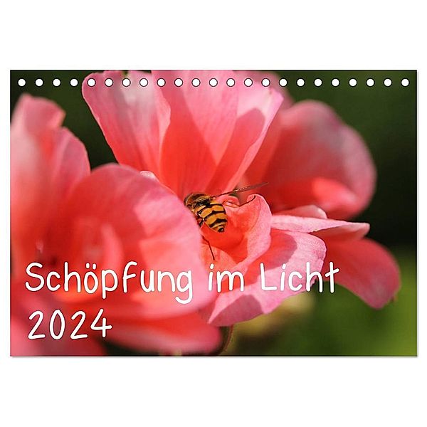 Schöpfung im Licht (Tischkalender 2024 DIN A5 quer), CALVENDO Monatskalender, Katrin Hildebrand