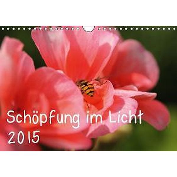 Schöpfung im Licht (Wandkalender 2015 DIN A4 quer), Katrin Hildebrand