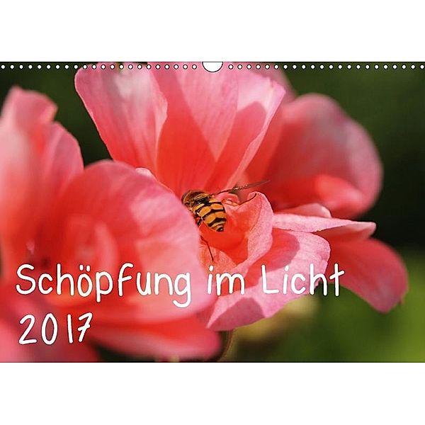 Schöpfung im Licht (Wandkalender 2017 DIN A3 quer), Katrin Hildebrand