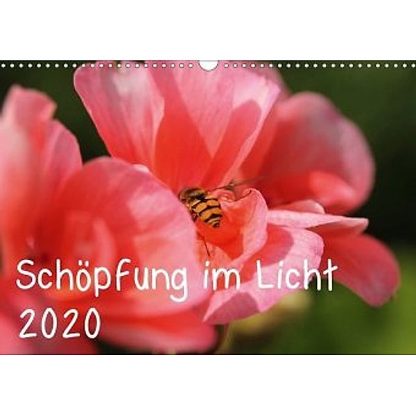 Schöpfung im Licht (Wandkalender 2020 DIN A3 quer), Katrin Hildebrand