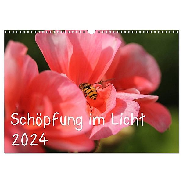 Schöpfung im Licht (Wandkalender 2024 DIN A3 quer), CALVENDO Monatskalender, Katrin Hildebrand