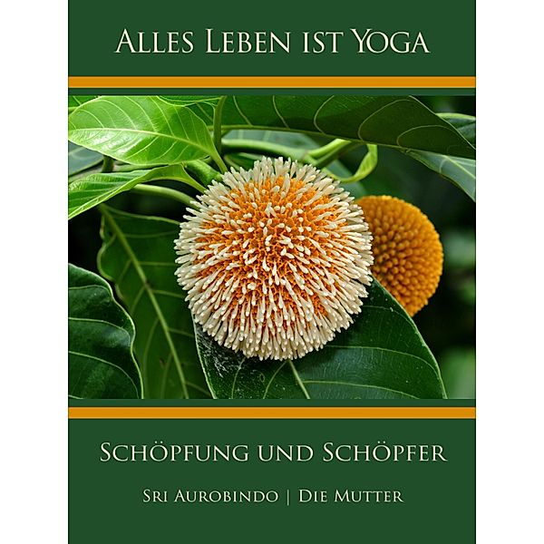 Schöpfung und Schöpfer, Sri Aurobindo, Die (D. I. Mira Alfassa) Mutter