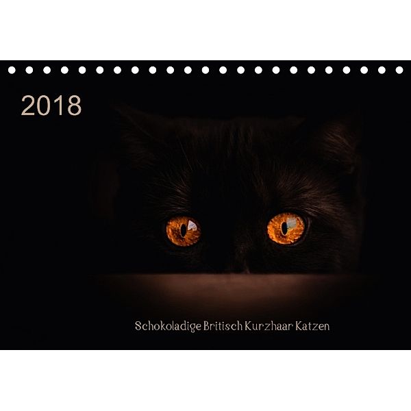 Schokoladige Britisch Kurzhaar Katzen (Tischkalender 2018 DIN A5 quer), Janina Bürger