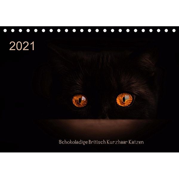 Schokoladige Britisch Kurzhaar Katzen (Tischkalender 2021 DIN A5 quer), Janina Bürger