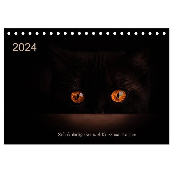 Schokoladige Britisch Kurzhaar Katzen (Tischkalender 2024 DIN A5 quer), CALVENDO Monatskalender, Janina Bürger