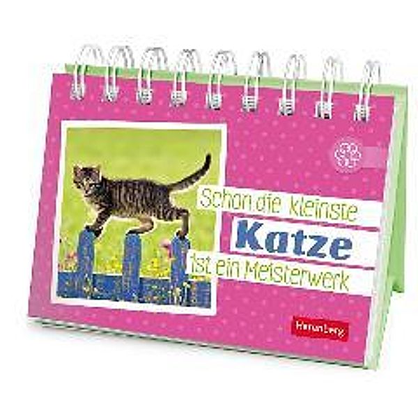 Schon die kleinste Katze ist ein Meisterwerk