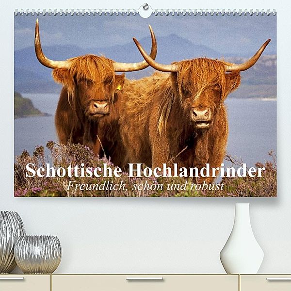 Schottische Hochlandrinder. Freundlich, schön und robust (Premium, hochwertiger DIN A2 Wandkalender 2023, Kunstdruck in, Elisabeth Stanzer