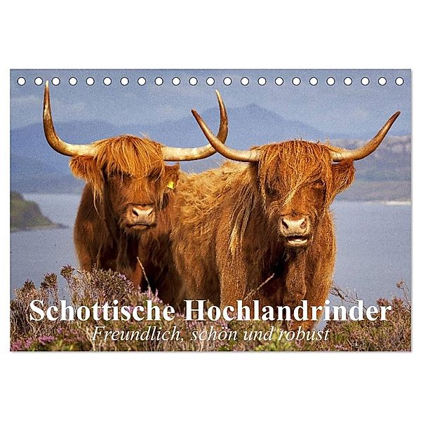 Schottische Hochlandrinder. Freundlich, schön und robust (Tischkalender 2024 DIN A5 quer), CALVENDO Monatskalender, Elisabeth Stanzer