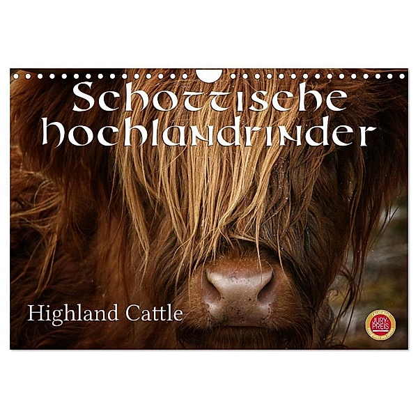 Schottische Hochlandrinder - Highland Cattle (Wandkalender 2024 DIN A4 quer), CALVENDO Monatskalender, Martina Cross
