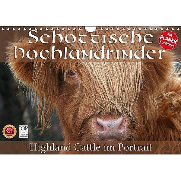 Schottische Hochlandrinder - Highland Cattle im Portrait (Wandkalender 2017 DIN A4 quer), Martina Cross