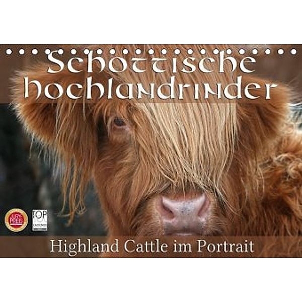 Schottische Hochlandrinder - Highland Cattle im Portrait (Tischkalender 2020 DIN A5 quer), Martina Cross
